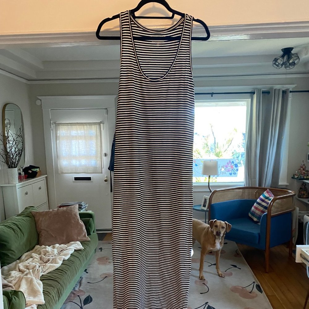 Everlane Cotton Striped Maxi Dress
